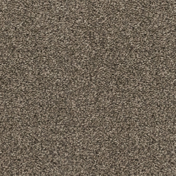 Noble Steed 865 Noble Saxony Collection Carpet
