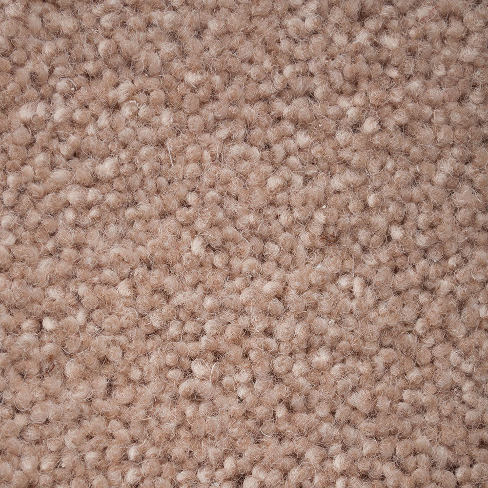 Nutkin 50oz Home Counties Plain Carpet Online Carpets