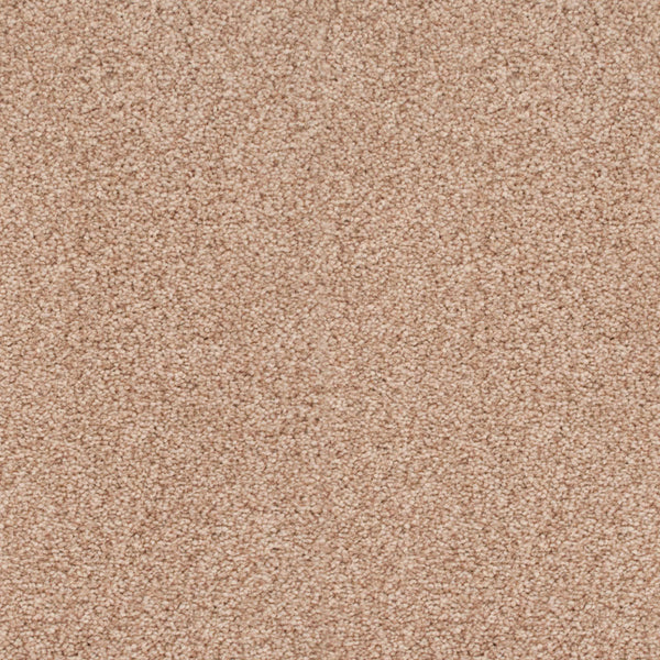 Nutmeg 31 Stainaway Ultra Carpet Buy Stainaway Ultra Carpets Online Online Carpets.co.uk