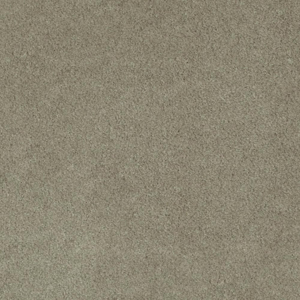 Suede 34 iSense Obsession Carpet