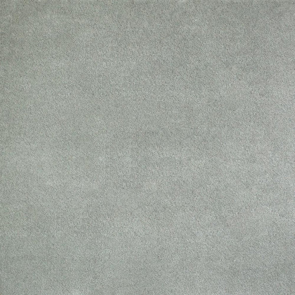 iSense Obsession Carpet Buy Associated Weavers Carpets Online OnlineCarpets.co.uk Online