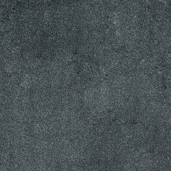 Anthracite 97 iSense Obsession Carpet