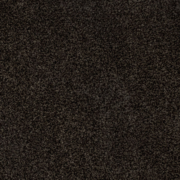 Oak 301 Ocean Actionback Carpet