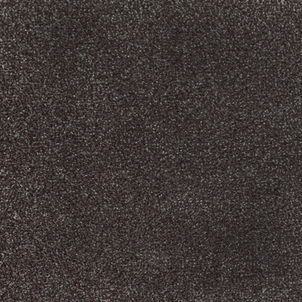 Brown 302 Ocean Actionback Carpet