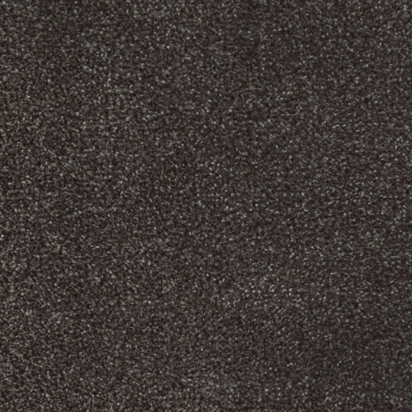 Brown 302 Ocean Actionback Carpet