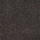 Brown 302 Ocean Actionback Carpet