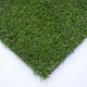 Dales 17mm Artificial Grass
