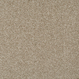 Oxford Stone 35 Tuftex Twist Actionback Carpet