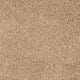 Pale Umber 35 Orion 50oz Invictus Carpet