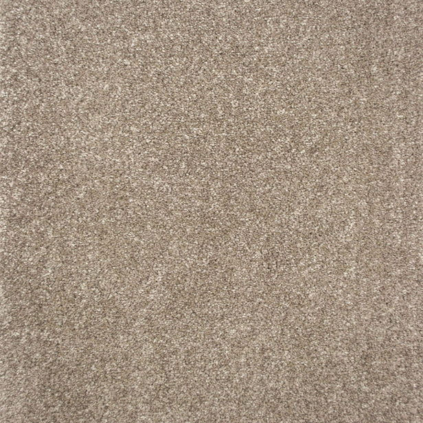 Pampas Saxony Carpet