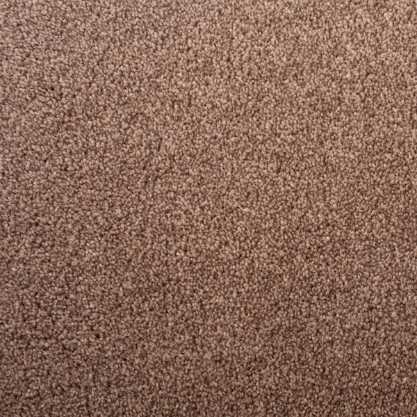 Parchment 90 Sacramento Classic Carpet Buy Sacramento Classic Carpet