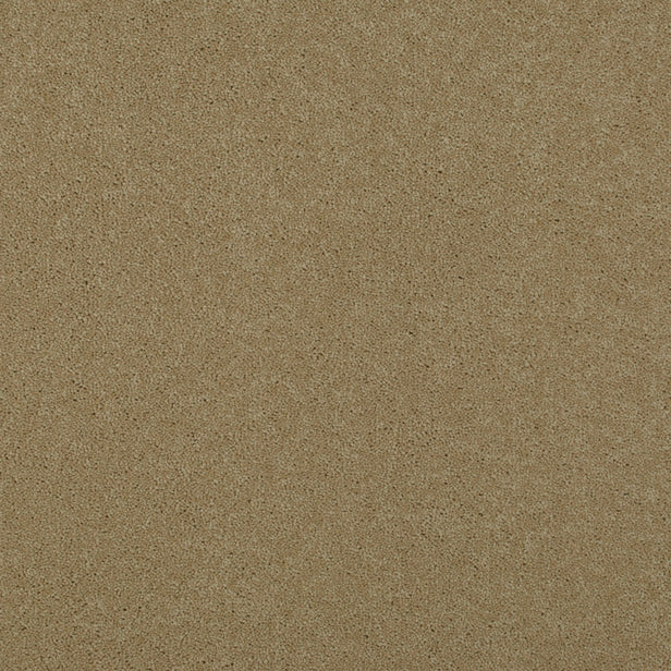 Parchment 92 Ultimate Twist Intenza Carpet