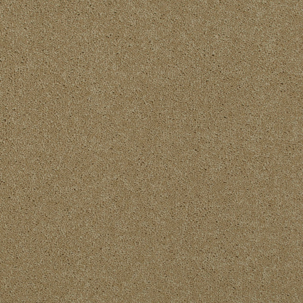 Parchment 92 Ultimate Twist Intenza Carpet