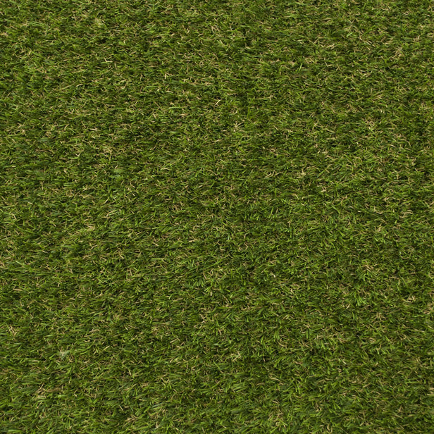 Palm Springs Artificial Grass