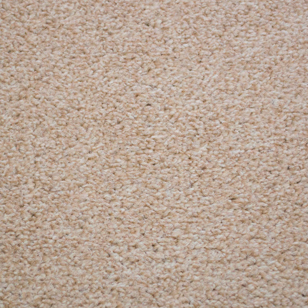 Pearl 305 Dublin Heathers Carpet