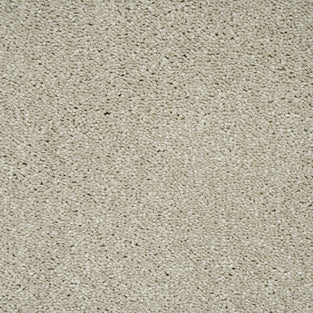 Pearle 09 Orion 50oz Invictus Carpet