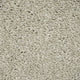 Pearle 09 Orion 50oz Invictus Carpet