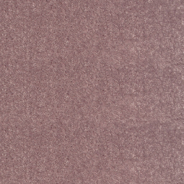 Peppercorn Splendour iSense Carpet Buy Splendour iSense Carpets