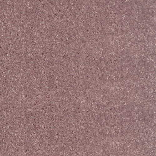 Peppercorn 67 Splendour iSense Carpet Clearance