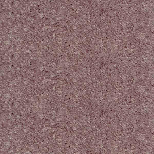 Peppercorn Splendour iSense Carpet Buy Splendour iSense Carpets