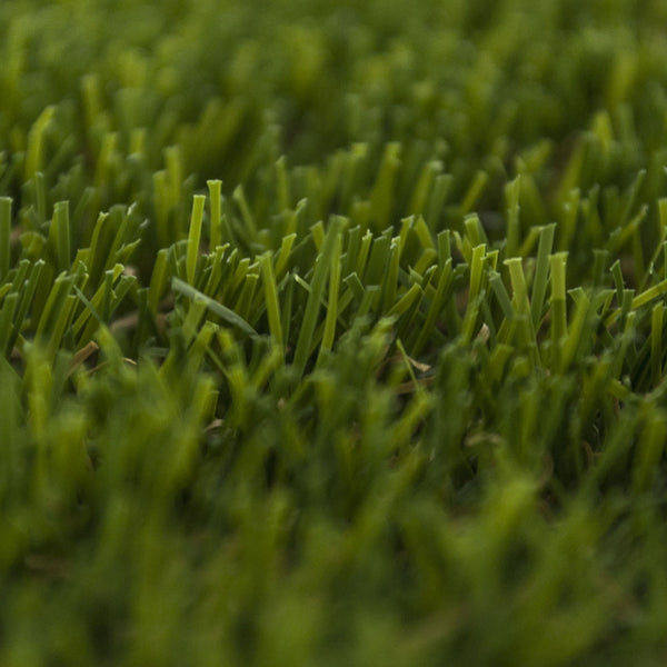 Buena Park Artificial Grass