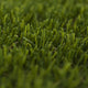 Buena Park Artificial Grass