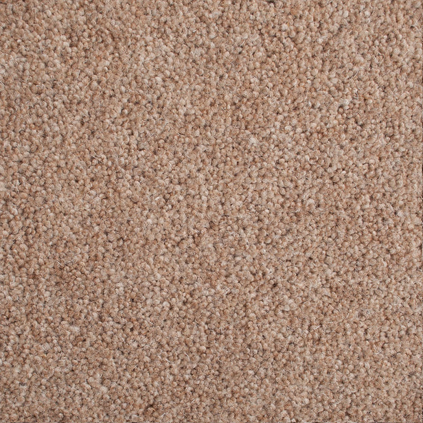Periwinkle 50oz Home Counties Heathers Carpet by Cormar