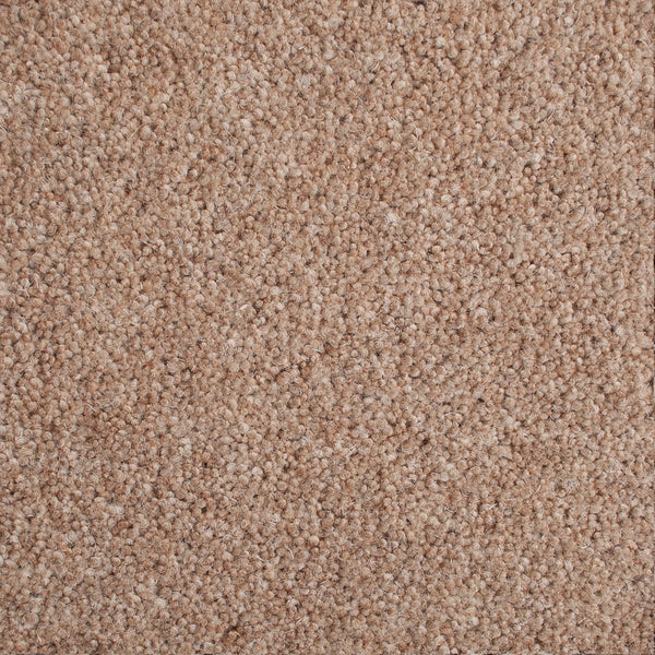 Periwinkle 50oz Home Counties Heathers Carpet