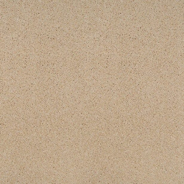 Perseus 50oz Invictus Carpet