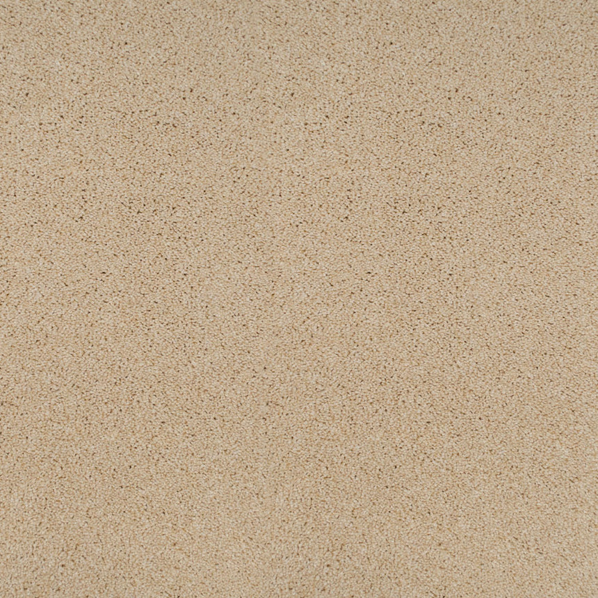 Perseus 50oz Invictus Carpet