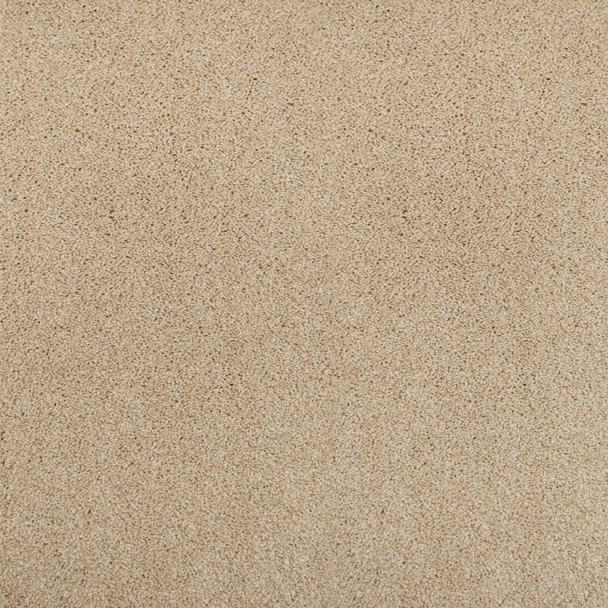 Perseus 50oz Invictus Carpet