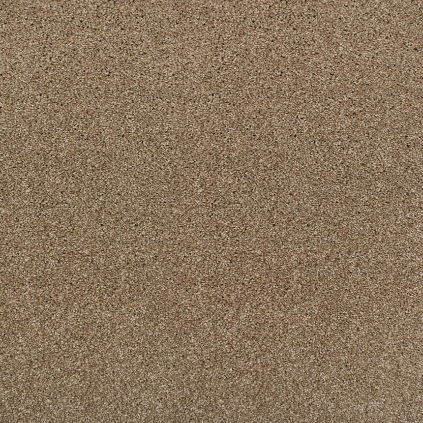 Perseus 50oz Invictus Carpet