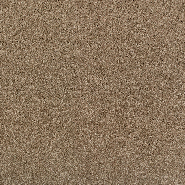 Acacia 34 Perseus 50oz Invictus Carpet
