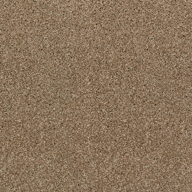 Acacia 34 Perseus 50oz Invictus Carpet