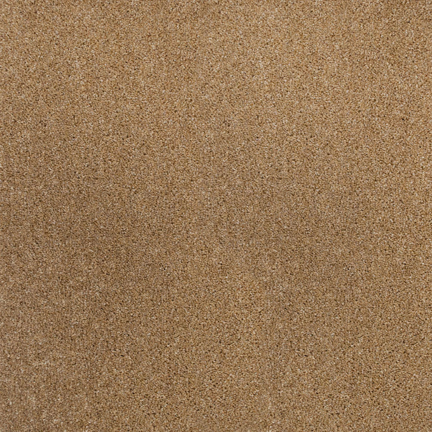 Perseus 50oz Invictus Carpet