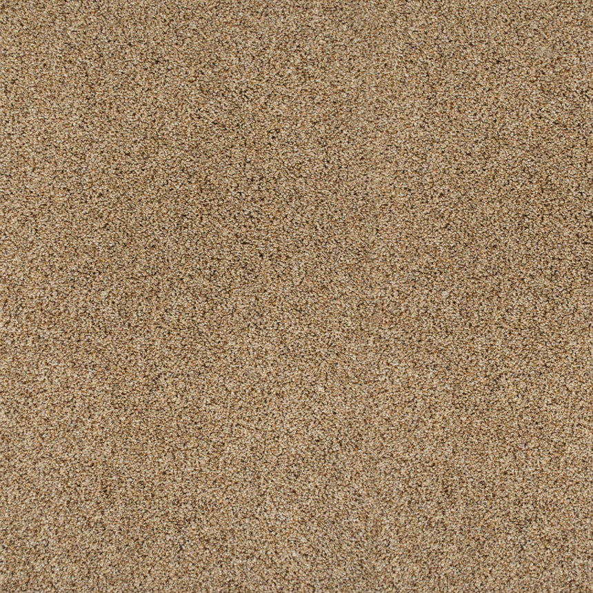 Perseus 50oz Invictus Carpet