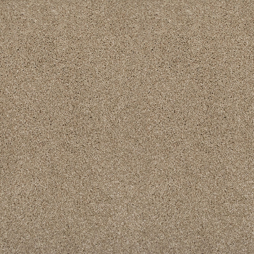 Perseus 50oz Invictus Carpet