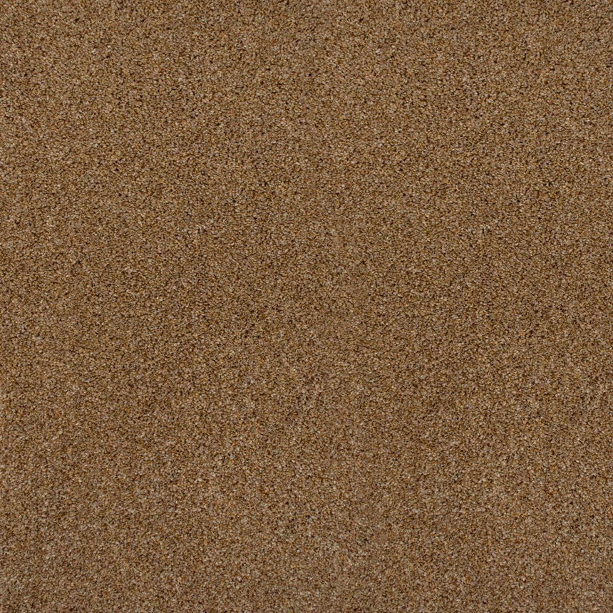 Perseus 50oz Invictus Carpet