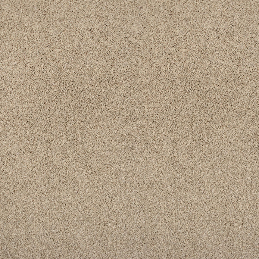 Perseus 50oz Invictus Carpet