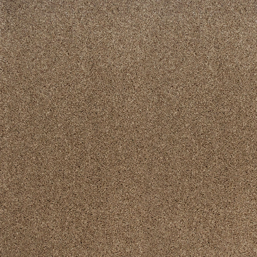 Perseus 50oz Invictus Carpet