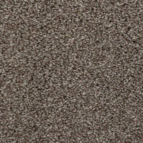 Mizona 45 Perseus 50oz Invictus Carpet
