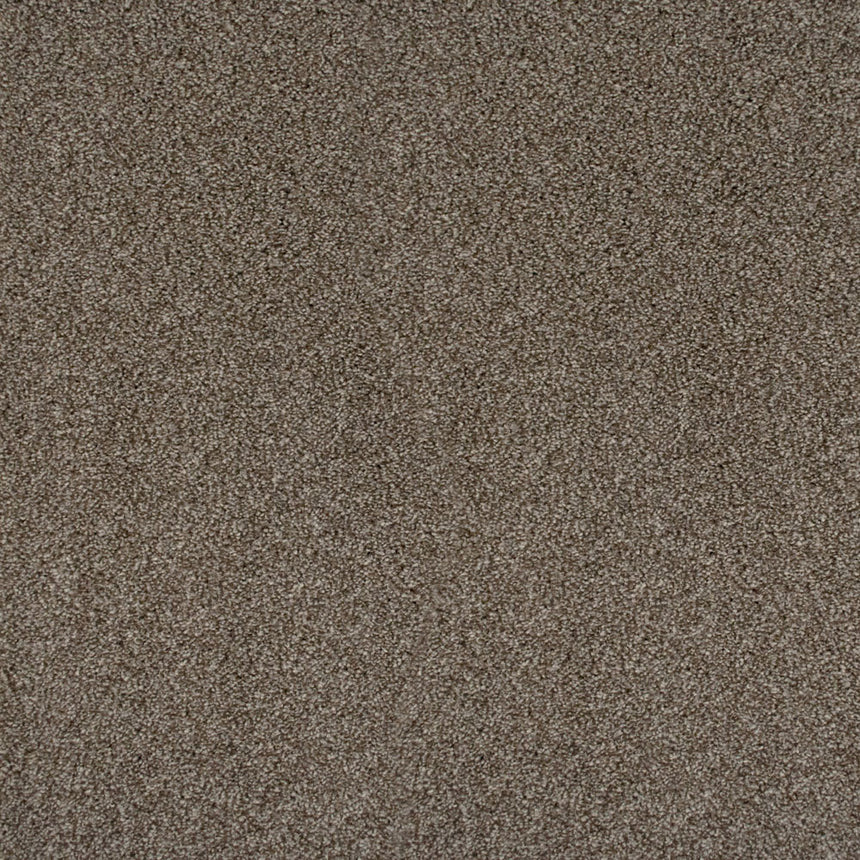 Perseus 50oz Invictus Carpet