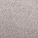 Pewter 76 Sacramento Classic Carpet