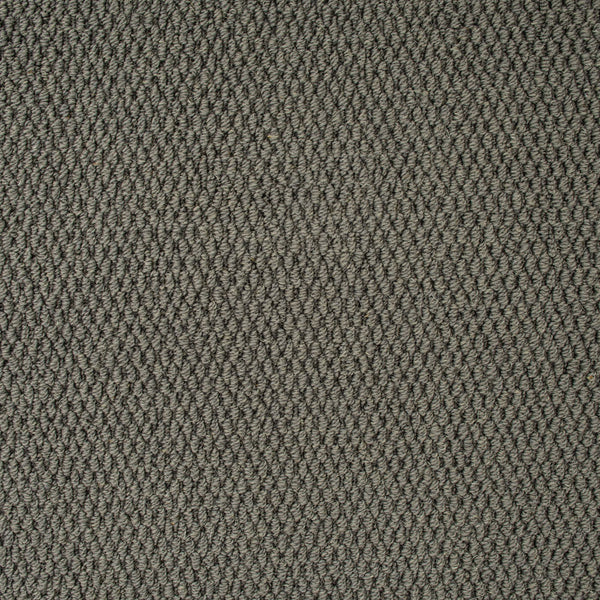 Pewter Grey Florida Loop Carpet