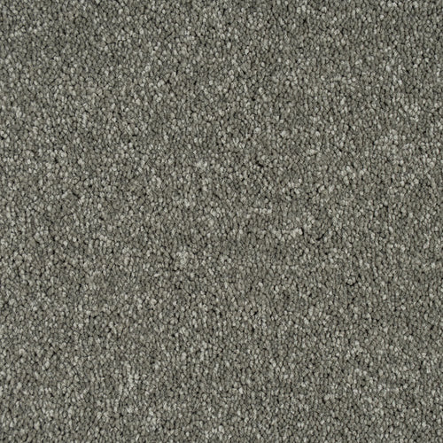 Pewter Grey Missouri Saxony Carpet 5.2m x 5m Remnant