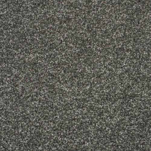 Pewter Oregon Saxony Carpet