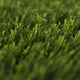 Coachella Artificial Grass