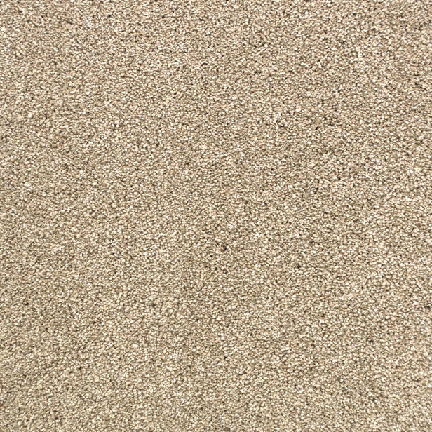 Sandstone 73 Premium Carpet