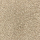 Sandstone 73 Premium Carpet
