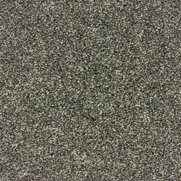 Pewter 74 Premium Carpet